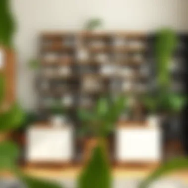 Fusion of Bookshelves and Plant Stands in Design Combination of bookshelves and plant stands