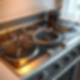 Electric stove top with various burners