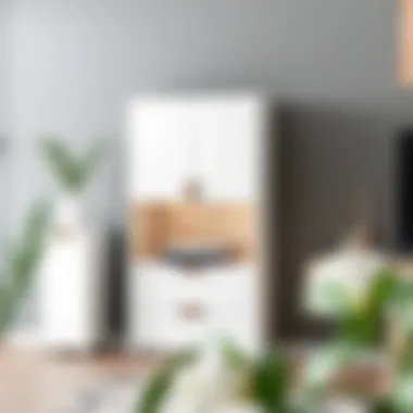 Sleek modern design of a compact storage unit