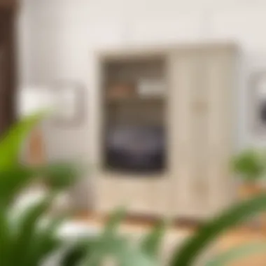 Stylish cabinet enhancing interior decor