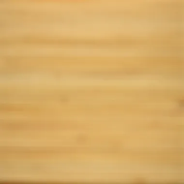 Textural Detail of Bamboo Mats Close-up of a large bamboo mat showcasing its texture and natural finish