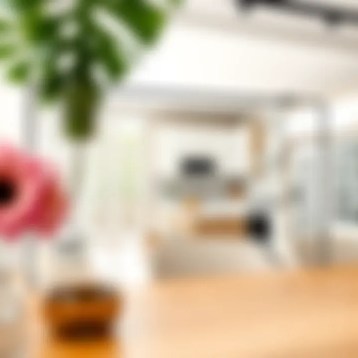 User interface of a kitchen design software with features