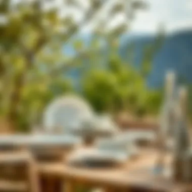 Melamine dinnerware in a natural outdoor setting