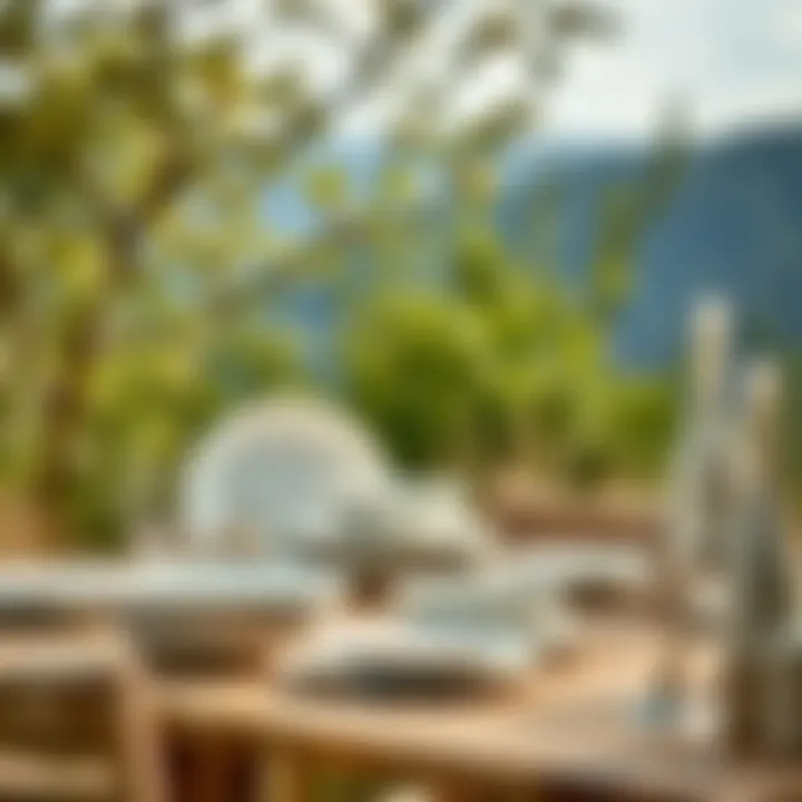 Melamine dinnerware in a natural outdoor setting