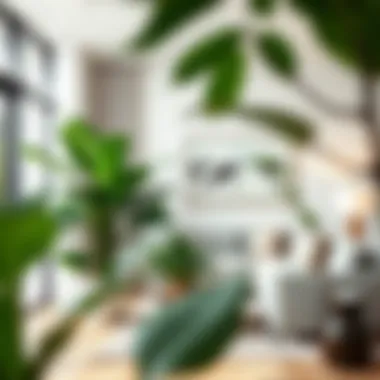 An elegant living room adorned with large indoor plants in chic pots, enhancing the decor.