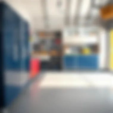 Organized garage space demonstrating effective cabinet usage