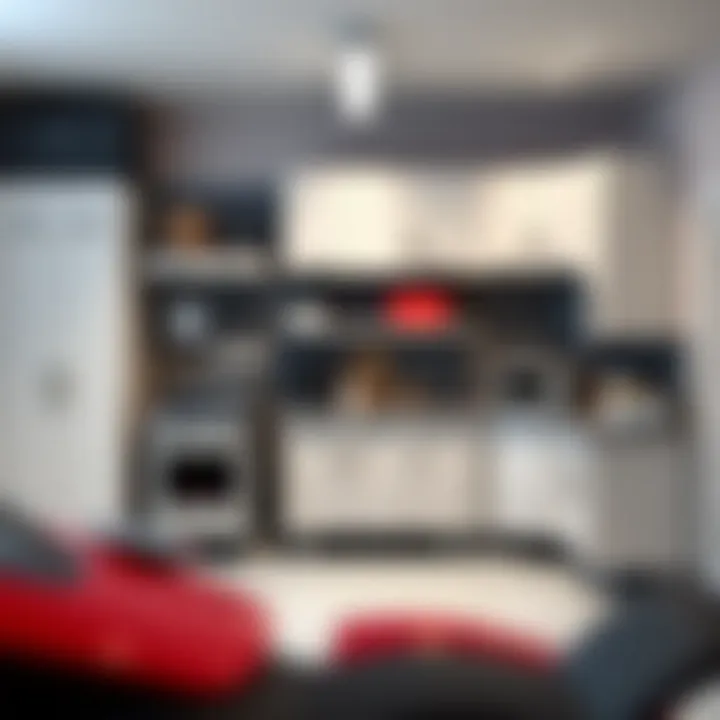 Stylish garage cabinet design showcasing modern aesthetics