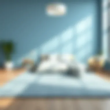 Diverse Design Styles with Light Blue Rug Diverse design styles harmonizing with a light blue rug