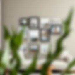 A beautifully arranged 4x4 photo frame collage on a stylish wall