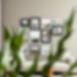 Beautifully Arranged 4x4 Photo Frame Collage A beautifully arranged 4x4 photo frame collage on a stylish wall