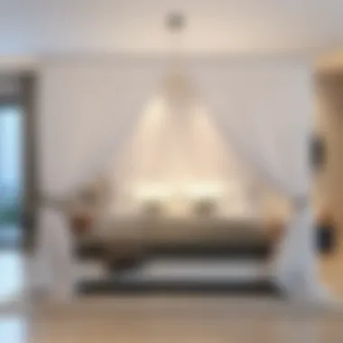 Contemporary Sheer Canopy Design Stylish modern extra large bed canopy made of sheer fabric