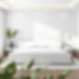 Elegant plain white bedframe in minimalist bedroom setting