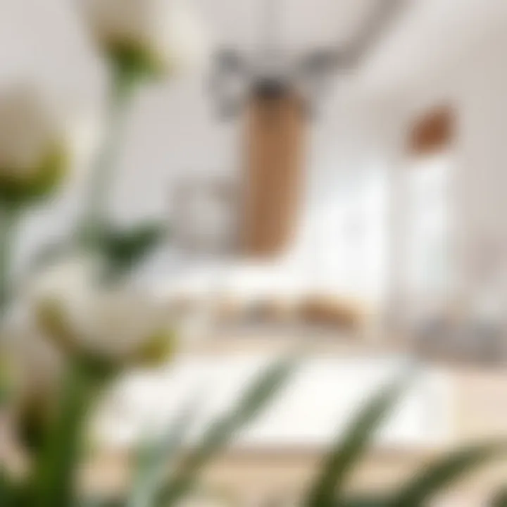 Stylish interior showcasing a white bedframe with decorative elements