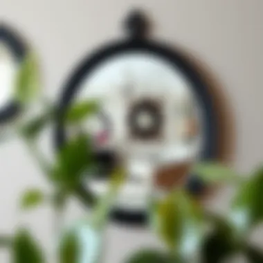 Elegant black wood round mirror reflecting stylish interior decor