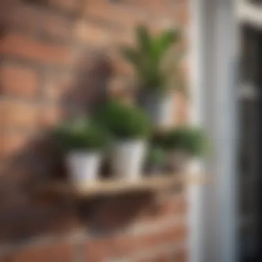 Variety of fake plants showcased on a stylish outdoor shelf