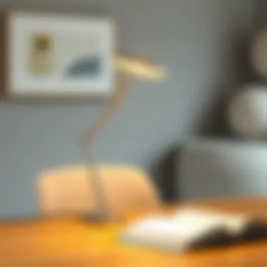 Elegant clip-on task light design showcasing versatility