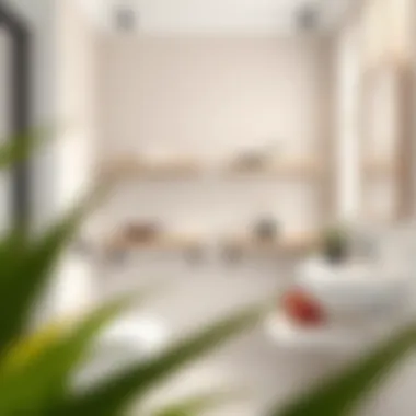 Minimalist bathroom featuring space-saving wall shelves