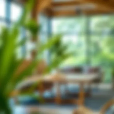 Sustainable Furniture Practices Eco-friendly materials used in furniture at Nex Furniture