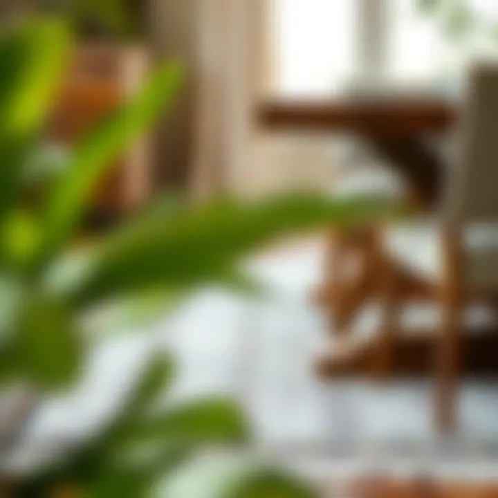 Diverse layout strategies for placing a rug beneath a dining table