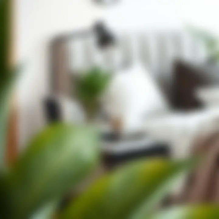 Black side table arranged with books and a plant in a chic bedroom