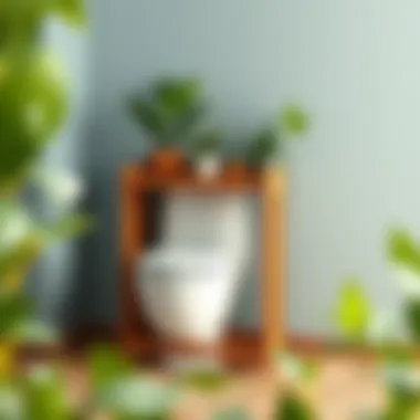 Elegant wooden toilet rack with plants